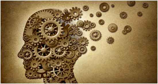 Neuroeconomía